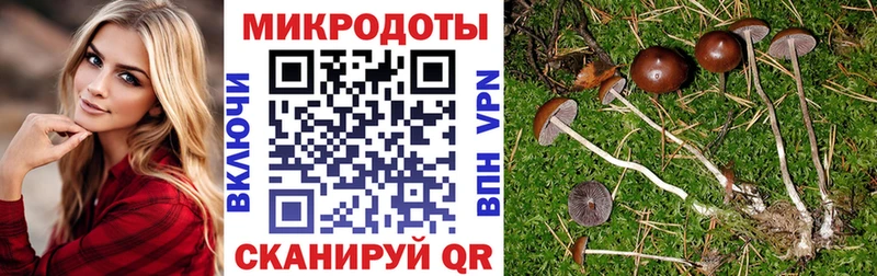 Галлюциногенные грибы Cubensis  купить наркотик  Лихославль 